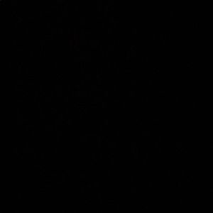 Meet your Posher, Monserrat